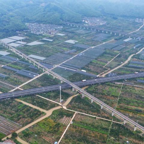 台金铁路最新动态报道
