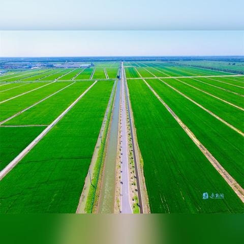 栖冲业简